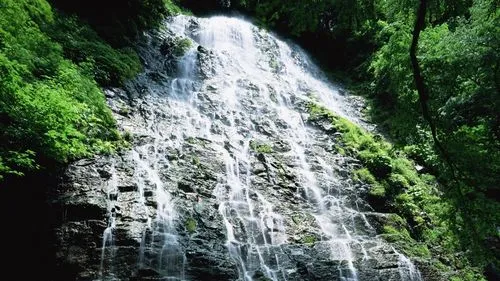 稳定性高性能高效